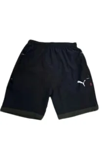 Puma Shorts for men